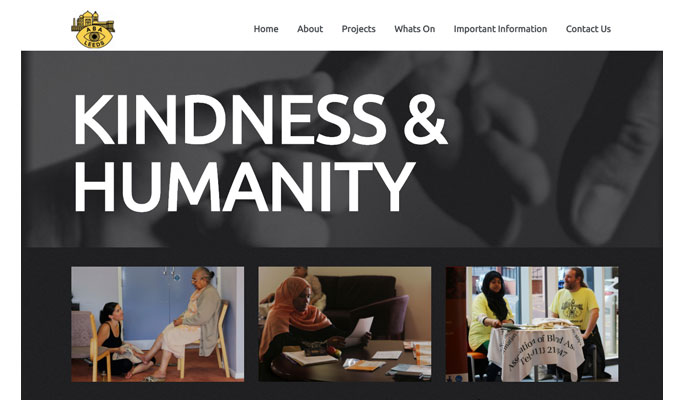 Association of Blind Asians Website