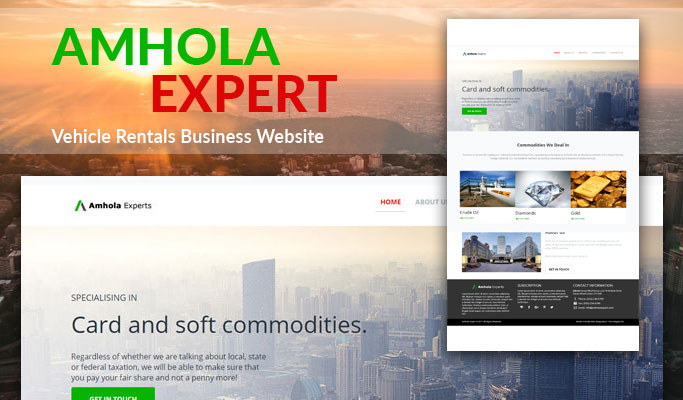Website Design Of AMHOLA EXPERT