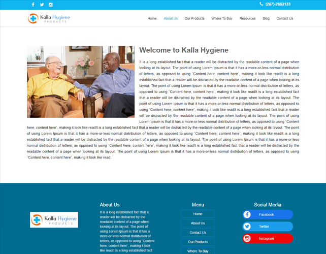 Hygiene Based Website Design