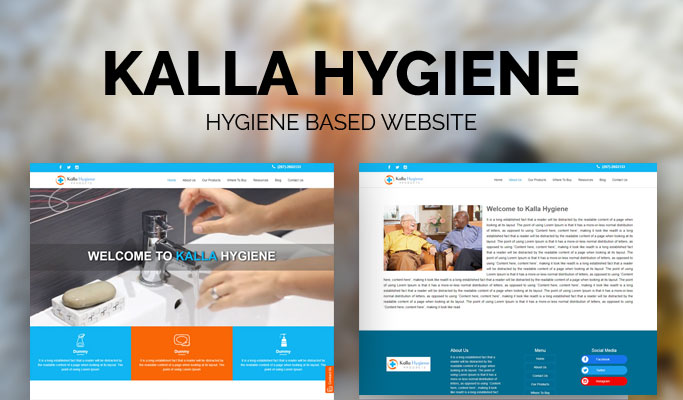 Hygiene Based Website Design