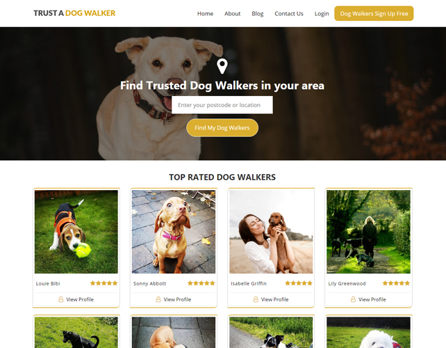 Dog Walker Website Design